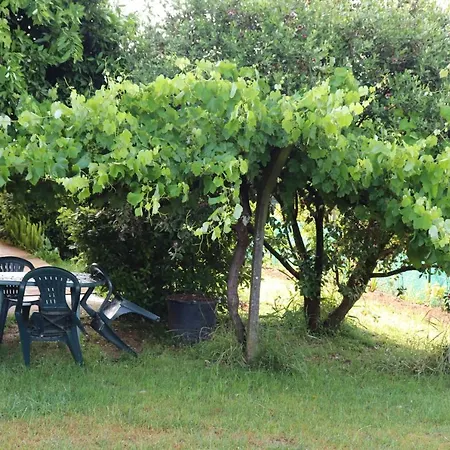 Nucleo Del Area Metropolitana-vigo Dos Con Cama De 150 Mos