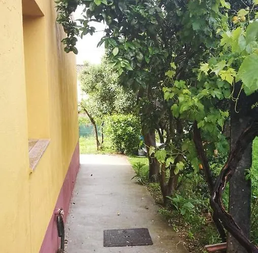 度假居 Vixia Do Val, 